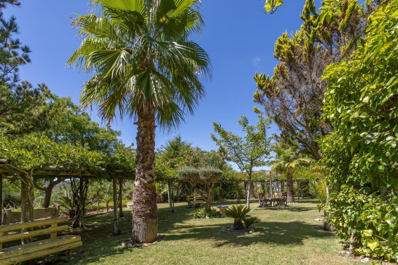 Quinta Do Monte Das Abelhas - La Venus De Lisbonne Calhandriz Eksteriør billede