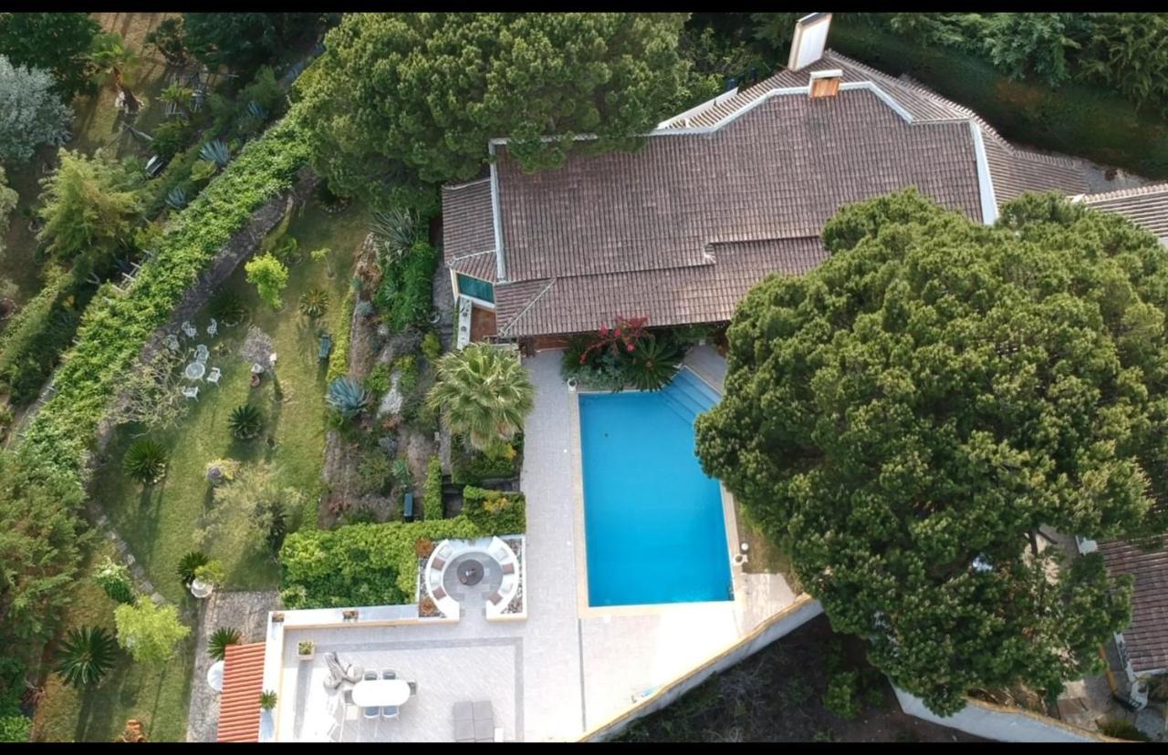 Quinta Do Monte Das Abelhas - La Venus De Lisbonne Calhandriz Eksteriør billede